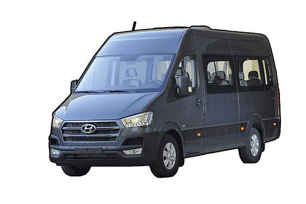 Hyundai H350 Artista